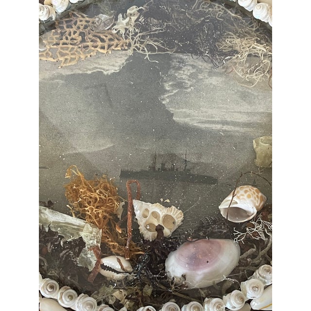 Coastal Antique Sea Shells Sailors Valentines For Sale - Image 3 of 7