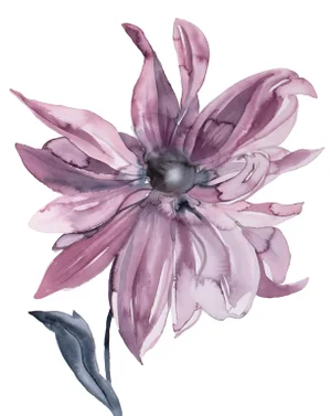 "Dahlia" Contemporary Original Botanical Flower Watercolor Painting by Elizabeth Becker
