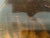 Circa 1840 American Empire Mahogany Side Table For Sale - Image 13 of 13