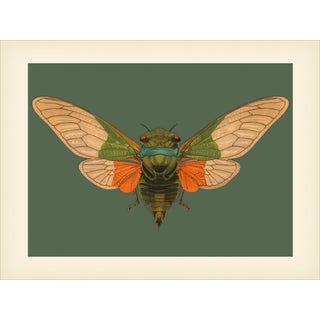 Bugs by Seguy #5 Reproduction For Sale