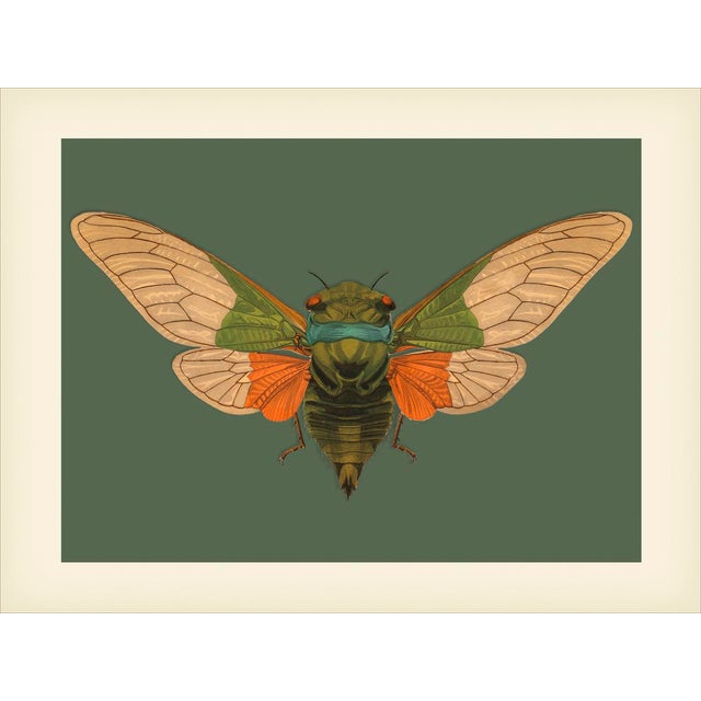 Bugs by Seguy #5 Reproduction For Sale