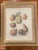1990s 1990s Chelsea House Set of 4 Pear Prints For Sale - Image 5 of 9