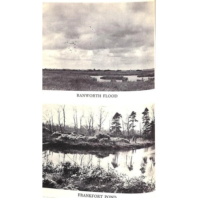 1950s "The King in His Country: A Biography of King George VI as a Sportsman" 1952 Buxton, Aubrey For Sale - Image 5 of 12