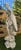 Ceramic Domenico Poloniato Large White Glazed Ceramic Figure of a Woman, Italy, Circa 1960 For Sale - Image 7 of 12