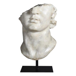 Unknown, Hellenistic Sculpture of a Head of Apollo, Plater and Resin For Sale