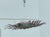 Mid 20th Century Mid 20th century Spanish Gilt Metal Semi-Flush Sunburst Light Fixture with Star Motifs For Sale - Image 5 of 12