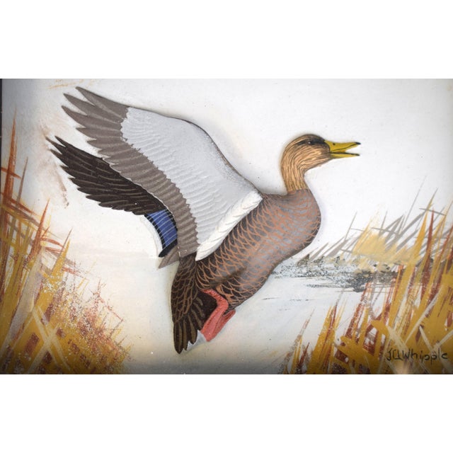 Traditional Abercrombie & Fitch X Joseph Q. Whipple Canvas-Back Duck Diorama For Sale - Image 3 of 5