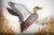 Traditional Abercrombie & Fitch X Joseph Q. Whipple Canvas-Back Duck Diorama For Sale - Image 3 of 5