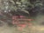 Thomas Kinkade "The Forest Chapel" – Limited Edition S/N (Charter Phase) For Sale - Image 10 of 12