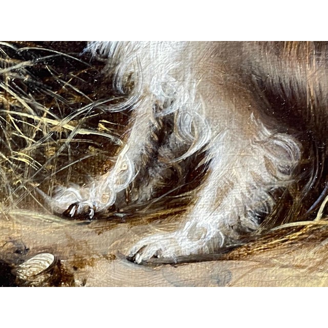 Edward Armfield 19th Century a Sharp Lookout Terriers Ratting Oil Painting For Sale - Image 10 of 15