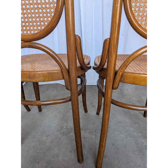 Mid-Century Bentwood Cane Dining Chair, Yugoslavia, 1970s, Set of 6 For Sale - Image 15 of 18