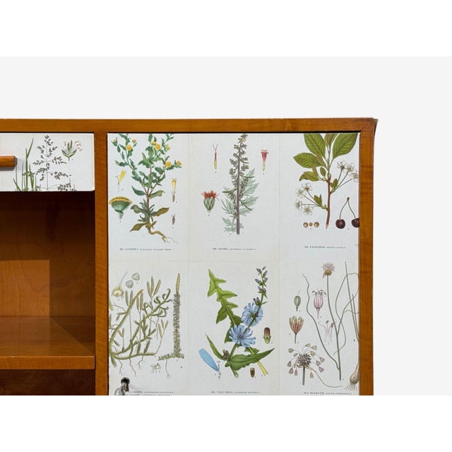 Antique White Swedish Modern, Nordens Flora Bookcase, Birch, Floral Lithographs, Sweden, 1940s For Sale - Image 8 of 15