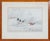 Art Sz: 9 3/4"L x 14 1/4"W Frame Sz: 17"H x 21"W w/ the Sportsman's Gallery Label on Verso Henry Alken (1810-1894)...
