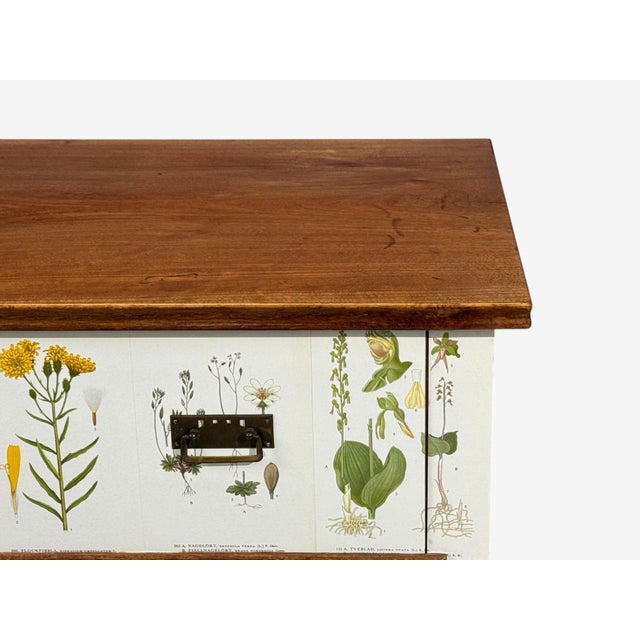 Swedish Modern, Nordens Flora Dresser, Brass, Floral Lithographs, Sweden, 1930s For Sale - Image 10 of 14