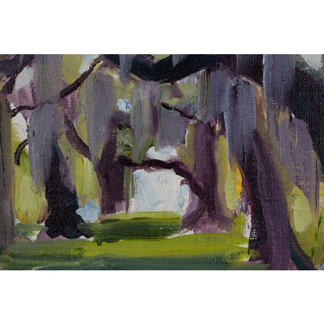 This oil painting captures the serene beauty of Audubon Park, showcasing a path lined with trees draped in Spanish moss....