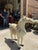 Oversized Vintage Marble Horse Statue With Gem and Gold Details For Sale In Atlanta - Image 6 of 7