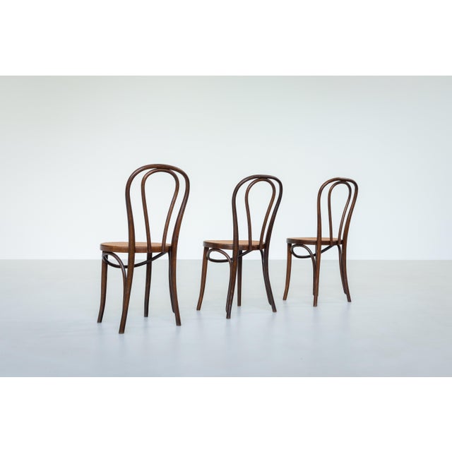 Mid-Century Modern Vintage Chaplin Chairs from Thonet, 1960s, Set of 3 For Sale - Image 3 of 12