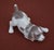 Lladro 1070 Playful Puppy Beagle Porcelain Figurine Glossy Retired Rare For Sale - Image 14 of 15