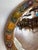 A fine round Barbola mirror from England featuring a relief of fruit - in polychrome colors applied over a gesso base -...