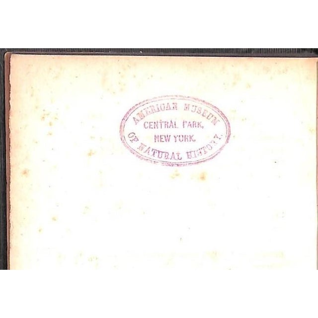 Mid 19th Century "A Winter in the West Indies and Florida" 1839 an Invalid For Sale - Image 5 of 5