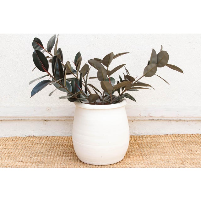 Soft, curvilinear, and rooted in tradition, this Paros Urn brings the quintessential charm of a Greek courtyard to the...