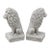 Late 20th Century Pair of Weathered Concrete Garden Lions For Sale