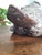 Metal Antique 1920's Patinated Bronze Sculpture of a Seated Duck For Sale - Image 7 of 13