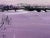 Twilight Over Water - Miniature Art in Lavender by Contemporary British Artist, Angela Wakefield Art measures 9 x 7 inches...