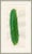 Contemporary Pickle Art Print by Susan Hable For Sale - Image 3 of 3