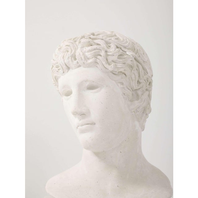 French Plaster Bust of a Classical Youth For Sale In New York - Image 6 of 6