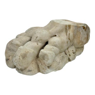 Antique Classical Marble Stone Fragment Lions Claw For Sale