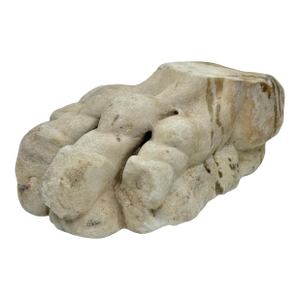 Antique Classical Marble Stone Fragment Lions Claw