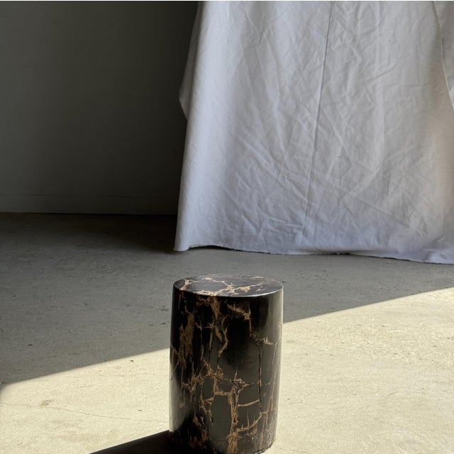 Small side table in black petrified wood with beige streaks on the gray side. Petrified wood is a fossilized wood (from...