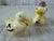 English Vintage European Duck Collection, German Schramberg Plate & English Shakers For Sale - Image 3 of 11