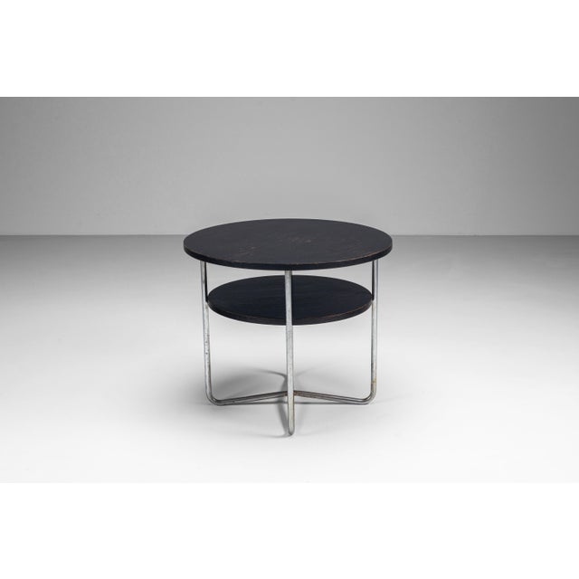Mid-Century Modern Coffee Table with Tubular Frame by Michael Thonet, 1940s For Sale - Image 3 of 12