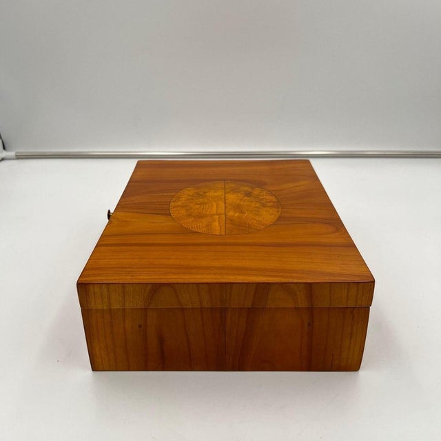 Brown Biedermeier Jewelry Box in Cherry Wood, Ash & Brass, Southern Germany, 1820s For Sale - Image 8 of 18