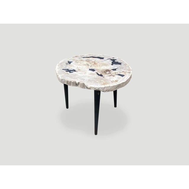 Metal Andrianna Shamaris Petrified Wood Slab Table with Steel Base For Sale - Image 7 of 18
