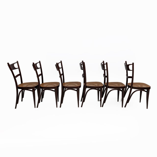 Set of six Thonet chairs from the early 1900s by Sautto & Liberale, in mahogany-coloured bent beech. The chairs have been...