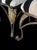 Gold 1990s Hollywood Regency Gold Gilt Metal Leaf Back Dining Chairs With Black & Cream Striped Upholstery - Set of 6 For Sale - Image 8 of 15