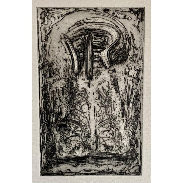 Melissa Meyer Melissa Meyer, American Abstract Expressionist Artist Melissa Meyer Aquatint Etching, 1984-1987 For Sale - Image 4 of 6