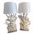 Vintage Wonderful Coral Lamps - A Pair For Sale