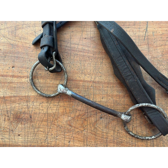 Brown Antique Horse Bridle and Bit, 1900s For Sale - Image 8 of 9