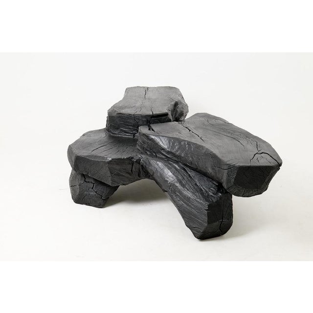 Wood Sculptural Rustic Coffee Table in Burnt Black Wood by Logniture For Sale - Image 7 of 18