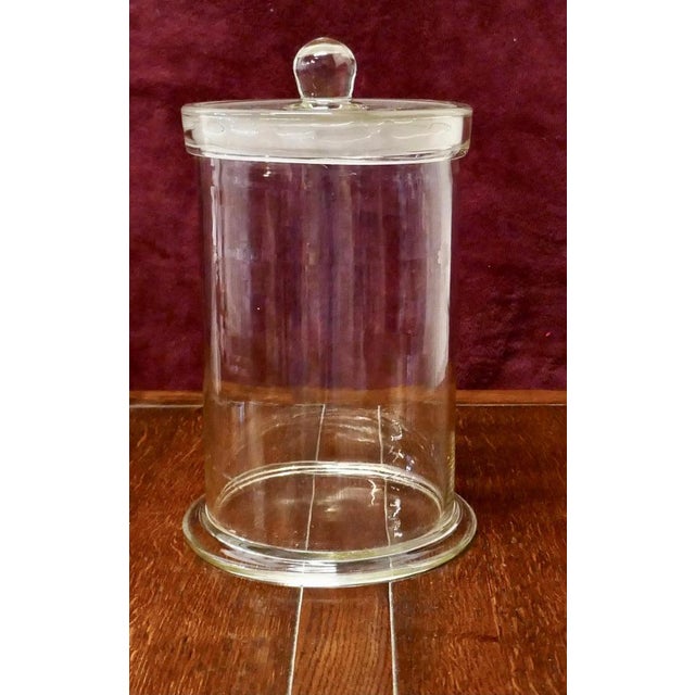 Large Tall Storage Jar Shop Display, 1960s For Sale - Image 6 of 7