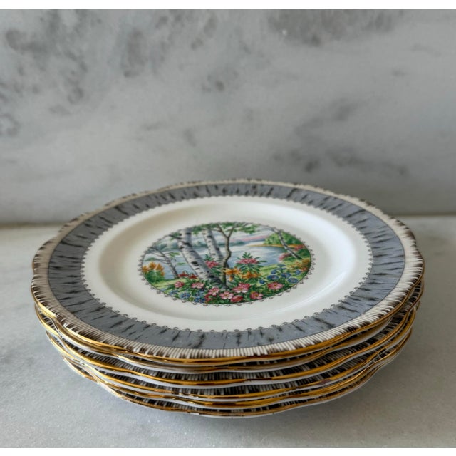 Set of 6 Royal Albert Bone China Salad Plates in the Silver Birch Pattern For Sale In Austin - Image 6 of 10
