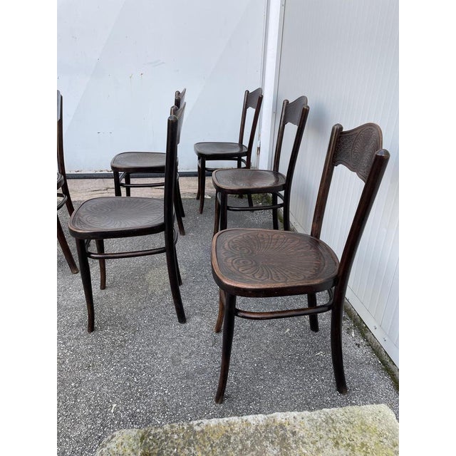 Beech Wood Dining Chairs by Jacob & Josef Kohn, Set of 6 For Sale - Image 5 of 14