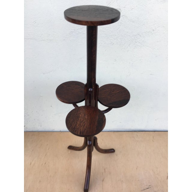 Bentwood Flower Bed from Thonet, 1940s For Sale - Image 12 of 18
