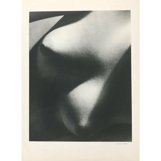 Arthur Siegel Title: Photogravure No. 1 Medium: Heliogravure Marks: Not signed not numbered Paper Size: Vellum paper 14 x...