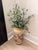 Beautiful vintage Asian-style ceramic floor vase featuring an intricate hand-painted design with a monkey perched among...