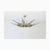 Model 1563 Dahlia Glass Chandelier by Max Ingrand for Fontana Arte, Italy, 1955 For Sale - Image 13 of 13